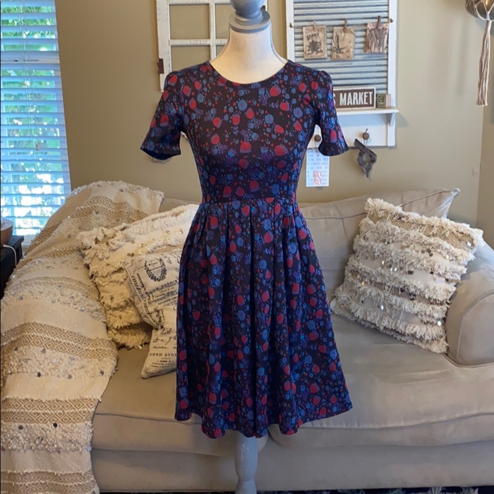 Amelia LulaRoe XS